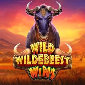 Wild Wildebeest Wins thumbnail